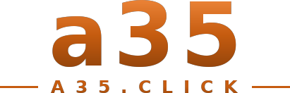 a35 logo